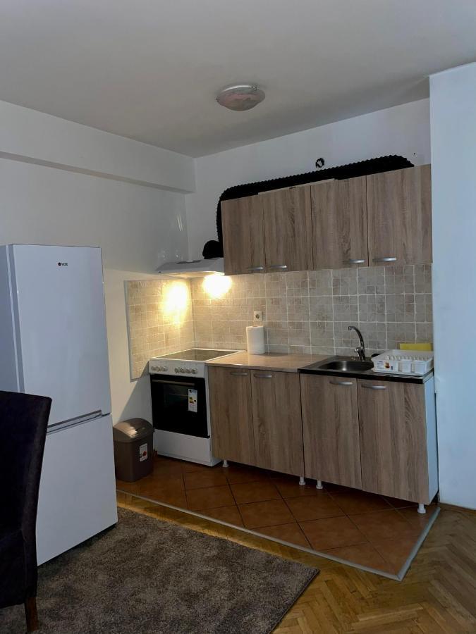 Apartment Dostojevski Νόβι Σαντ Εξωτερικό φωτογραφία